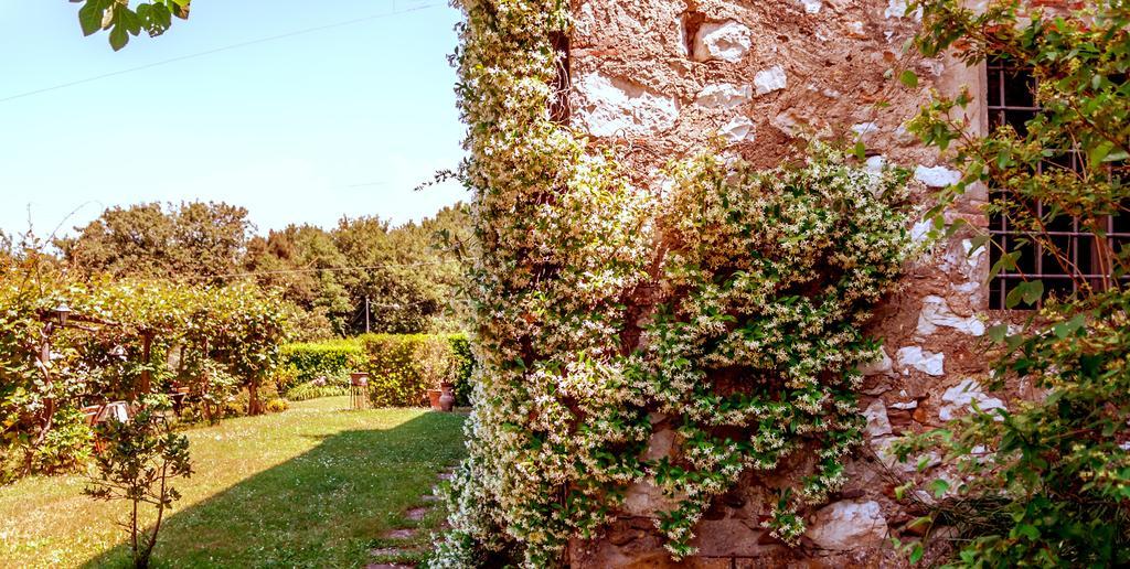 Apartament Corte Della Rusticuccia Lukka Zewnętrze zdjęcie